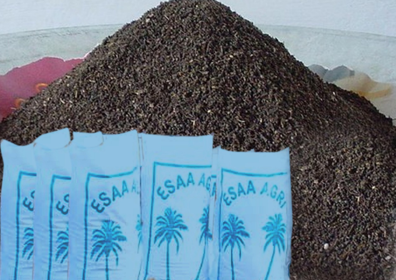Buy Vermicompost in India