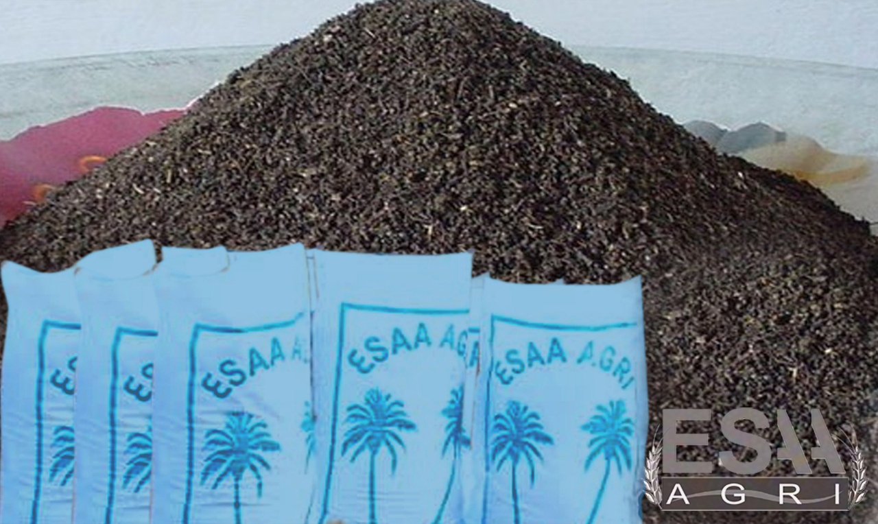 Vermicompost Exporters in India