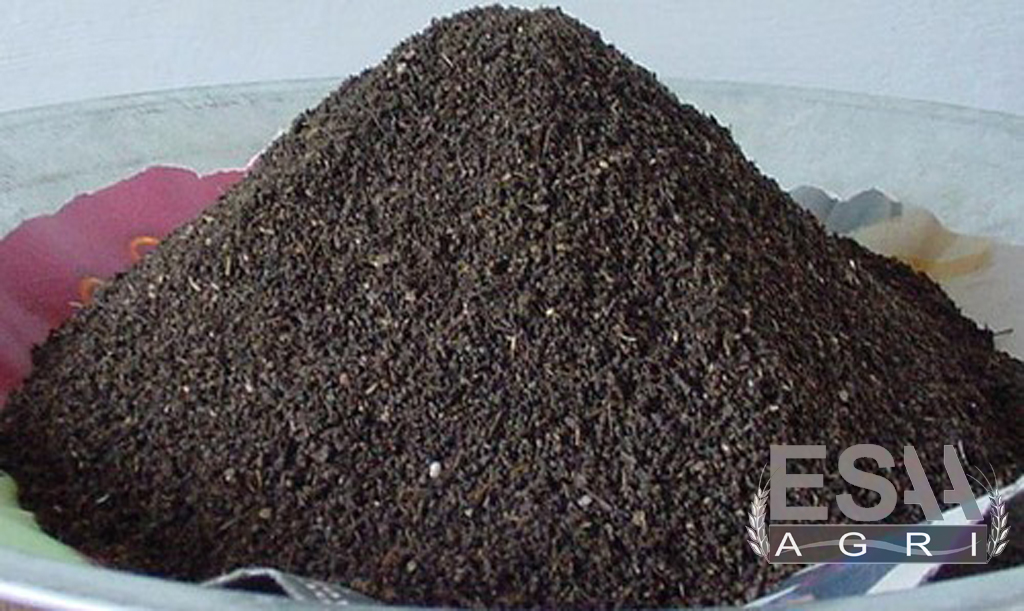 Buy Vermicompost in India 